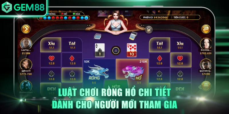 Luật chơi Rồng Hổ chi tiết dành cho người mới tham gia